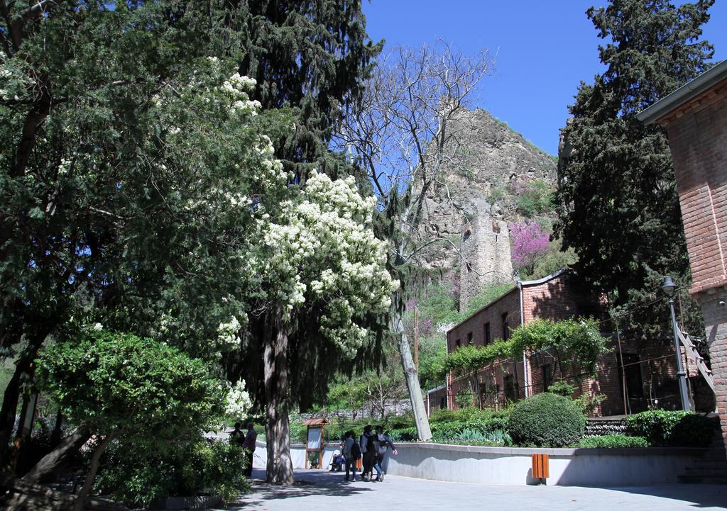 Apartment On Botanikuri Τυφλίδα Δωμάτιο φωτογραφία