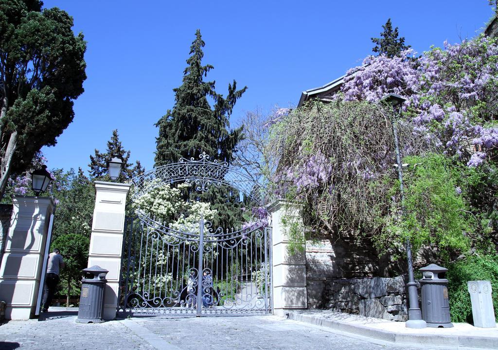 Apartment On Botanikuri Τυφλίδα Δωμάτιο φωτογραφία
